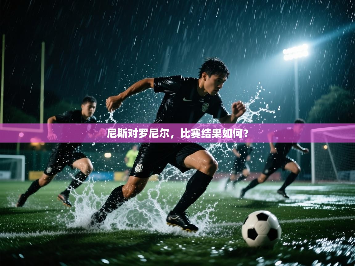 尼斯对罗尼尔，比赛结果如何？  第1张