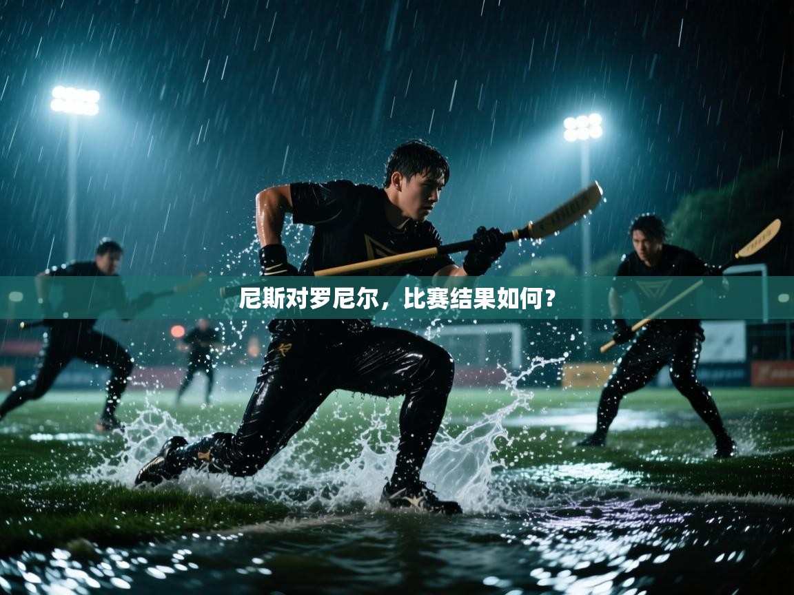 尼斯对罗尼尔，比赛结果如何？  第2张