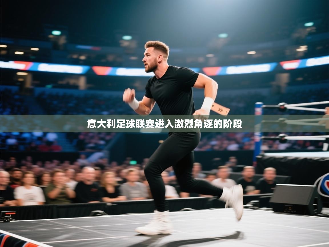 意大利足球联赛进入激烈角逐的阶段  第1张