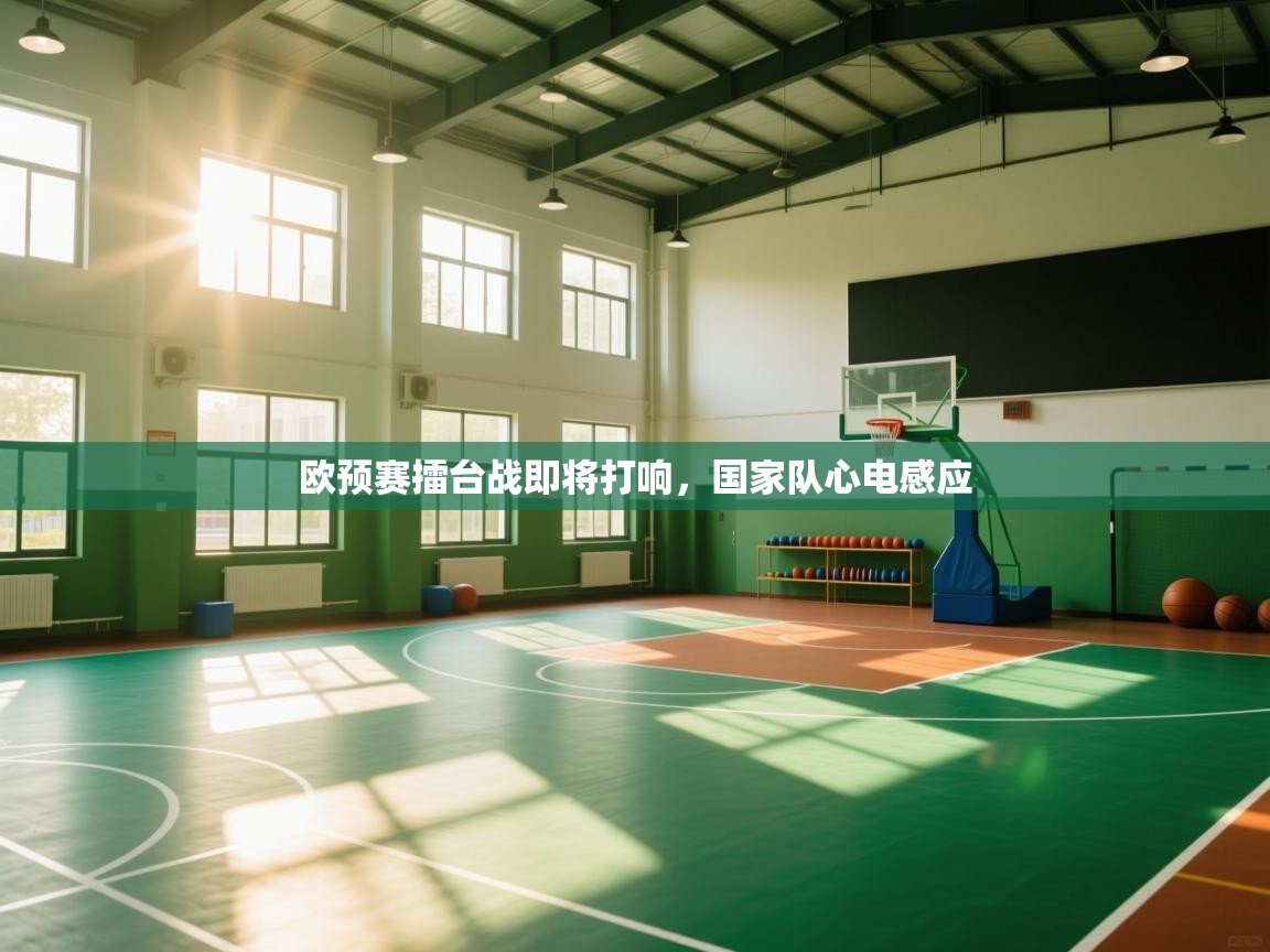 欧预赛擂台战即将打响,国家队心电感应 第1张