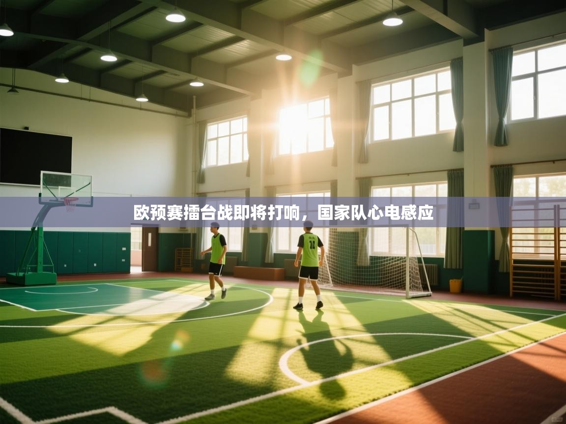 欧预赛擂台战即将打响,国家队心电感应 第2张
