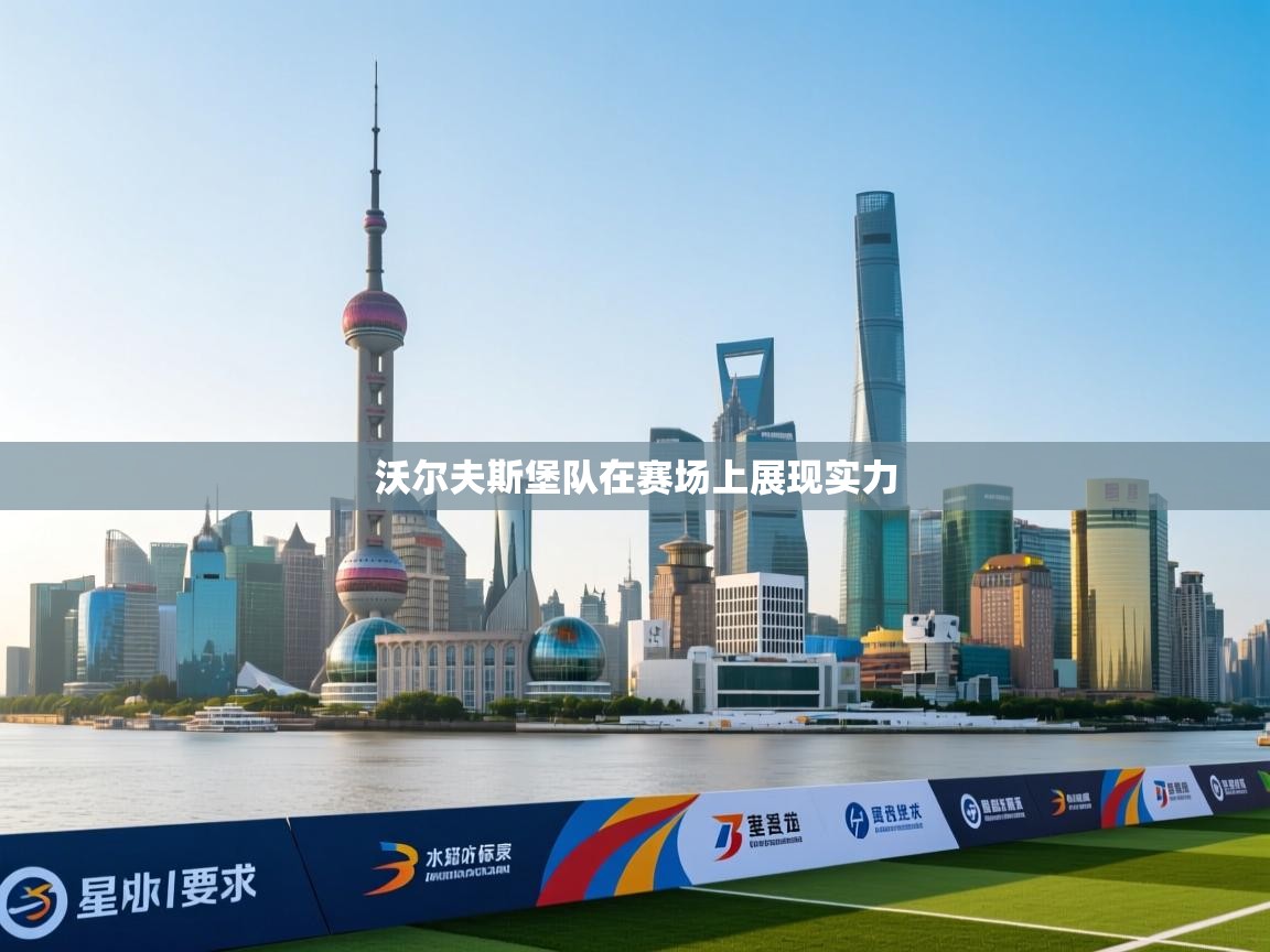 沃尔夫斯堡队在赛场上展现实力  第2张