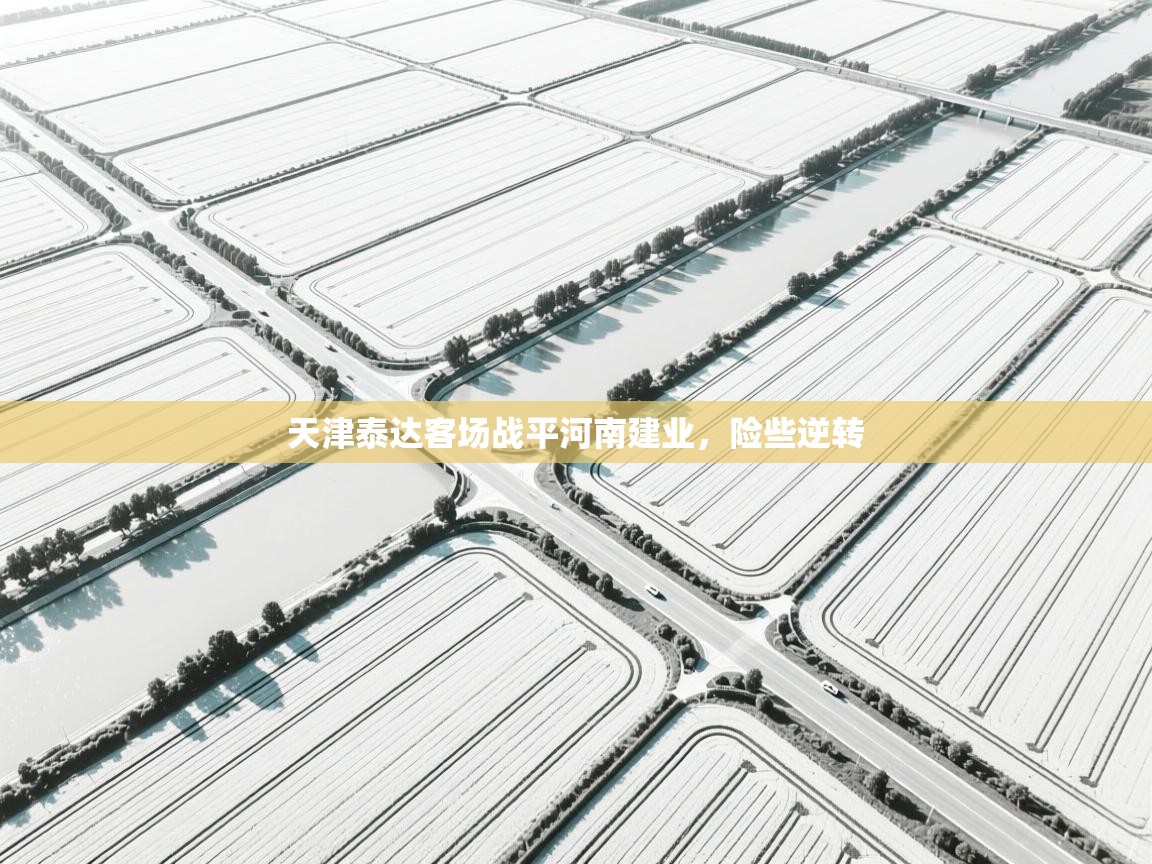 天津泰达客场战平河南建业，险些逆转  第2张