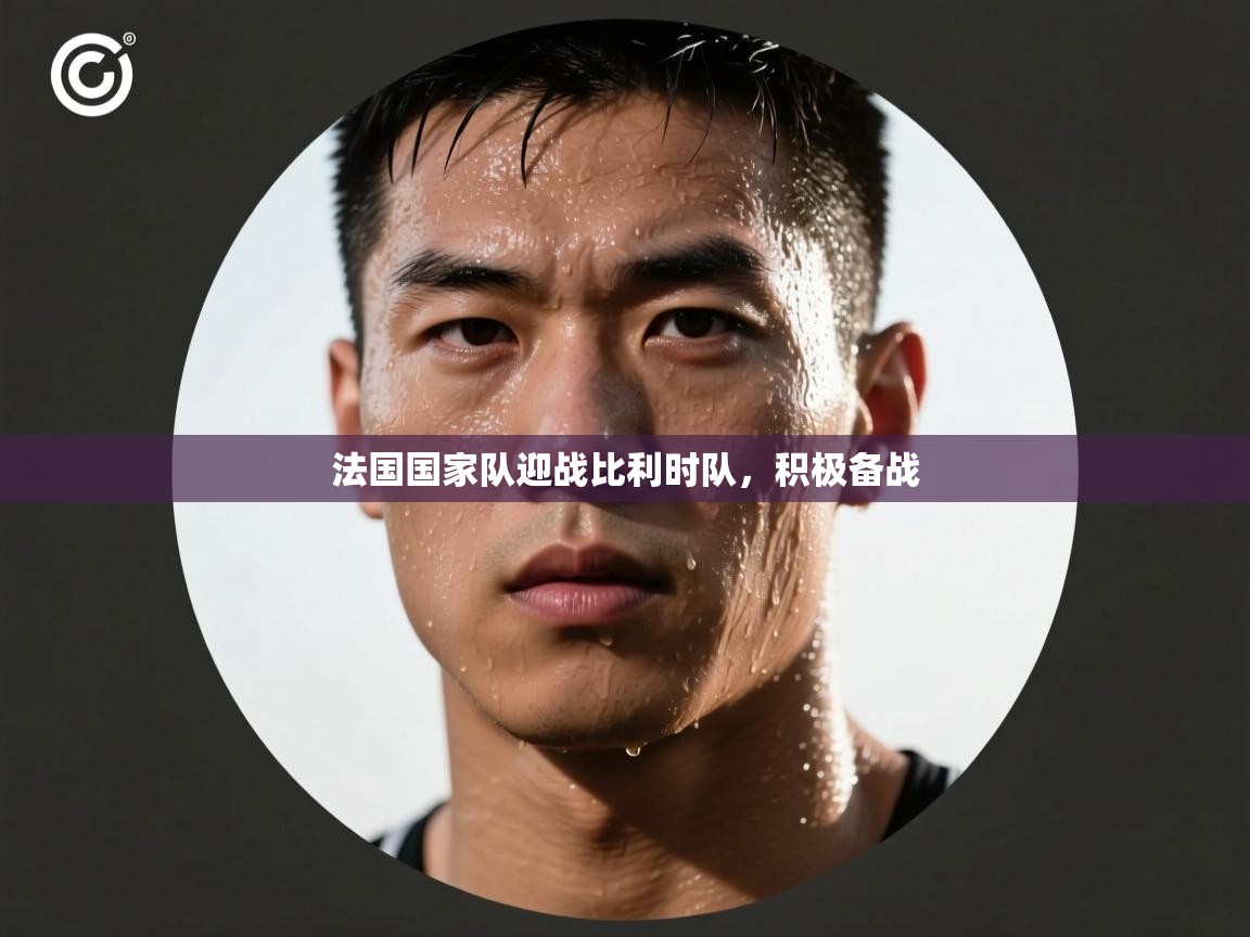 法国国家队迎战比利时队,积极备战 第1张
